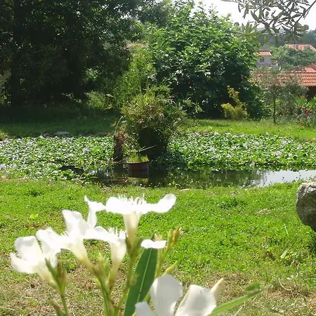 Gospodarstwo agroturystyczne Quinta Do Riacho *