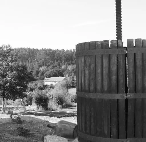 Gospodarstwo agroturystyczne Quinta Do Riacho *